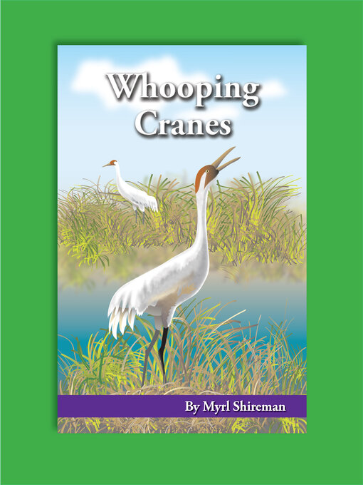 Cover image for Whooping Cranes